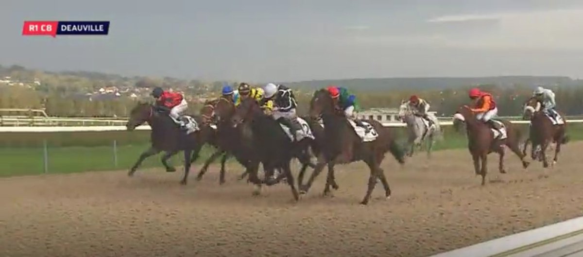 NicBellanger's tweet photo. 23/10/2019 Une 4ème place de KADNIKOV sur la psf @fgdeauville 
 #ecuriebellanger  #Kadnikov https://t.co/3trVpYd1NL