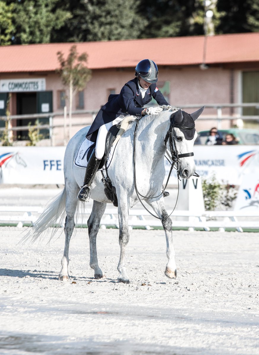 celieweston's tweet image. Artful Riding News! - mailchi.mp/d2815a82e98e/0…