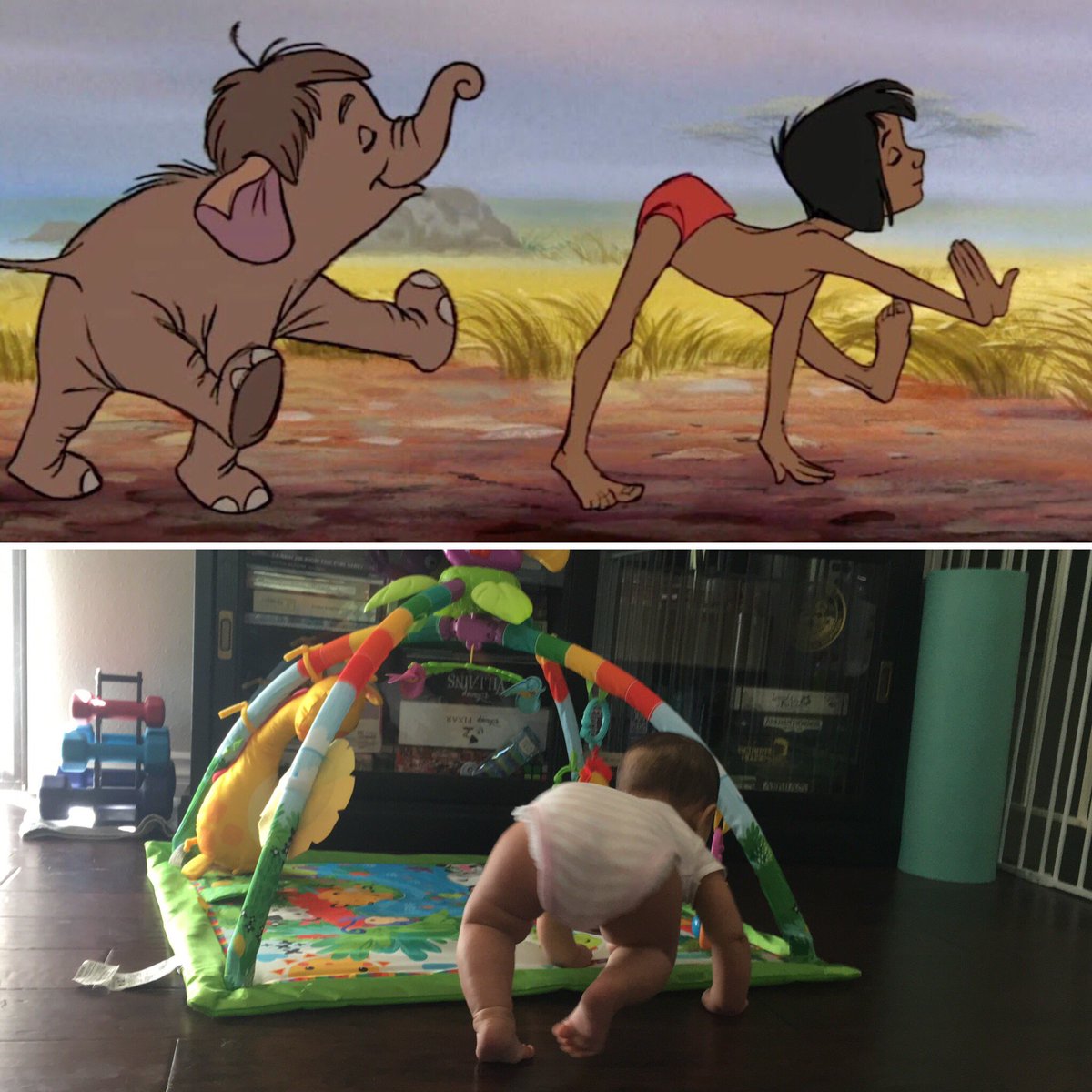 yvonnemous's tweet image. #learningtocrawl the elephant way #fivemonths