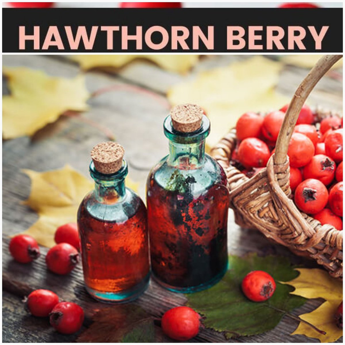 Hawthorne for #hearthealth for circulation for opening up the arteries of the #Heart #Hawthorne to help prevent heart issues to #preventheartattacks
#natural #nodrugs