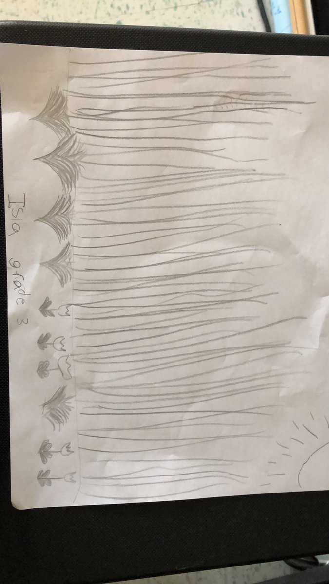 leilalattimer's tweet photo. @LiveItearth Isla, Gr3, Signal Hill Elementary #liveitwildfire https://t.co/GxUJmQVdaH