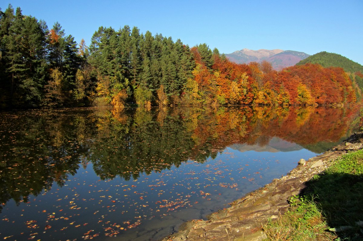 stanley_f21's tweet photo. Farby jesene Autumn colors #slovensko #slovakia #trip #vylet #praveslovenske #takeslovenske #pureslovakia #slovenskonafotke #landscape #photooftheday #instaphoto #lake #autumn #fall #jesen #sky #bluesky #krpelany #tree  #water  #clouds #cloudysky #trees #colorsofautumn #colors https://t.co/38Uu5EulTs
