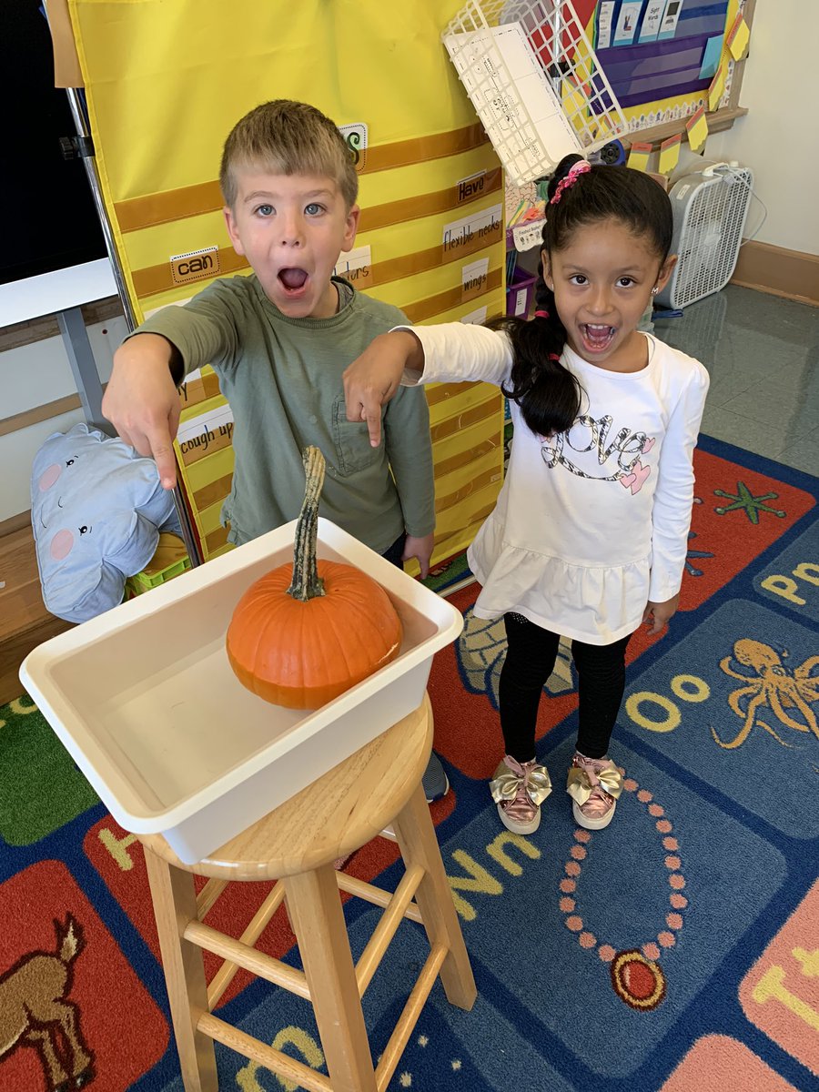 Jennifer Maher tweet media