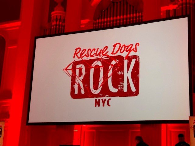 STEG enjoyed a wonderful evening supporting the mission and amazing work of <a href="/RDR_NYC/">Rescue Dogs Rock NYC</a> at their 2nd Annual NYC Gala! Such a talented and amazing group of people dedicated to the rescue of homeless dogs. "Making a difference one dog at a time!"
#RescueDogs #NYC #Economist