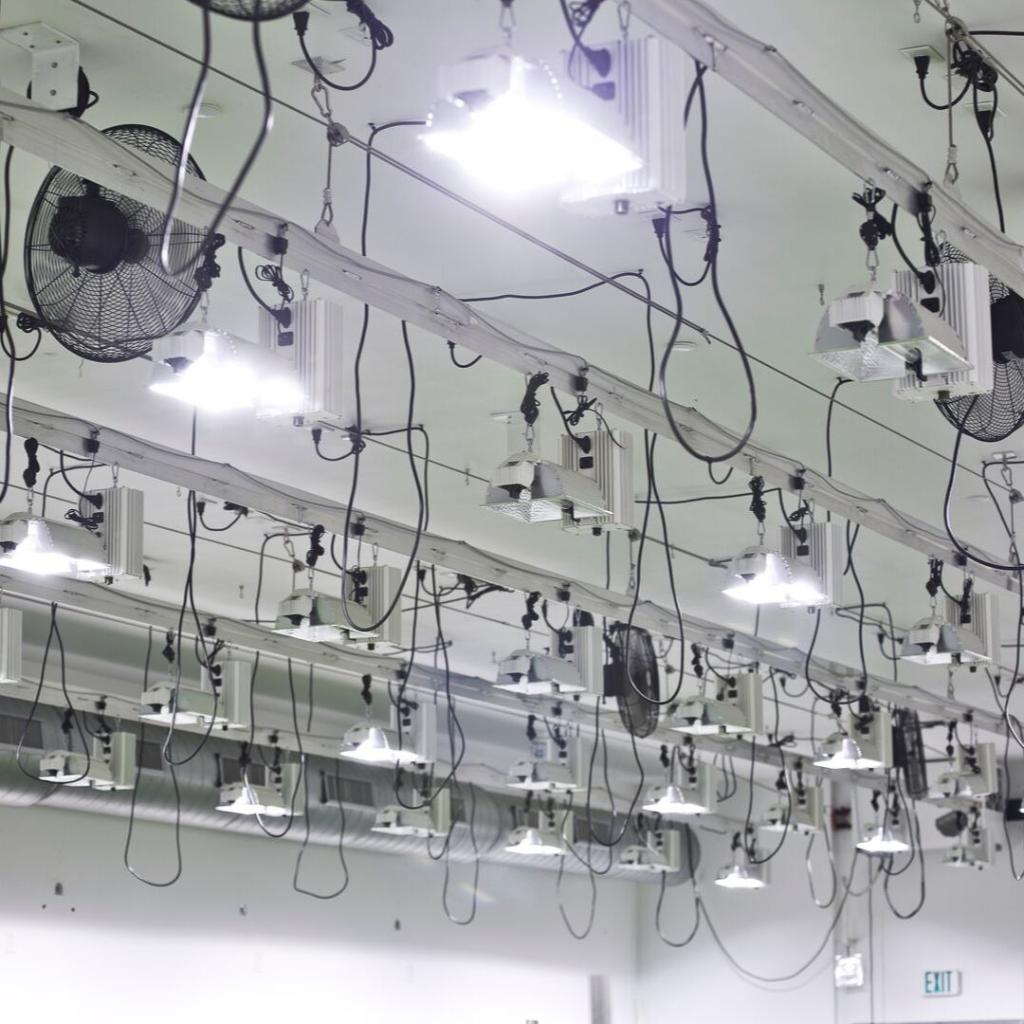 hawthornegc's tweet photo. New commercial facility? Existing commercial facility? And looking for a light design? Hit us with a DM, and we can get you taken care of.
#SafeAlternatives
#hawthorne #lightingdesign #lightinglayout #gavita #sunsystem #techservices https://t.co/57ho3uhbUk