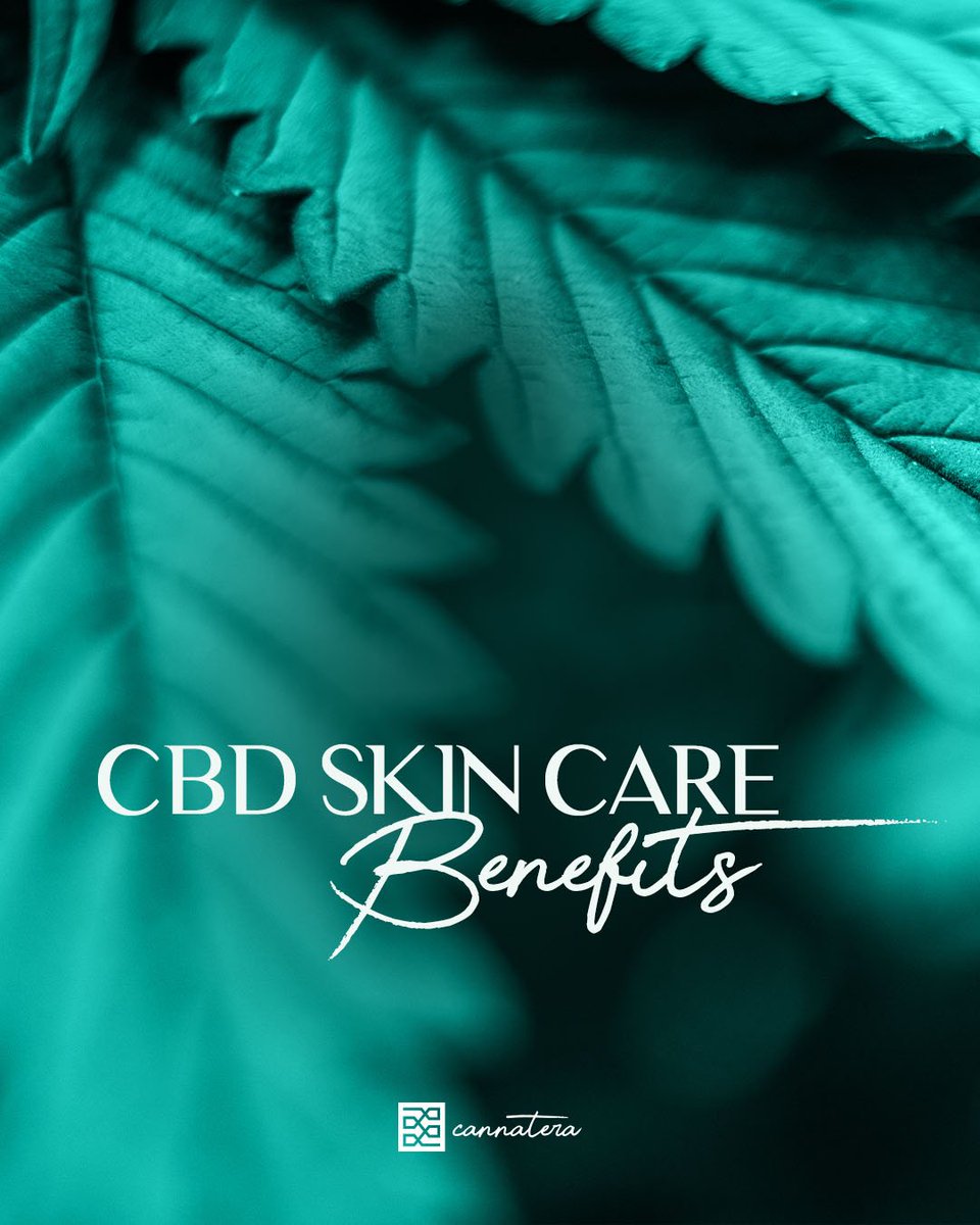 cannatera's tweet photo. 🌱 so how does CBD help our skin? With ingredients like cannabinoid-rich hemp extract that contain antioxidant properties, it can help improve overall skin health and reduce skin cell damage 🤩 #Cannatera #Skin #Health https://t.co/blKX1ZaxDn