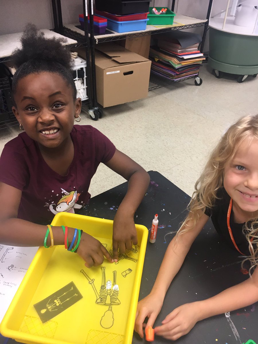 Skeleton X-ray puzzles.