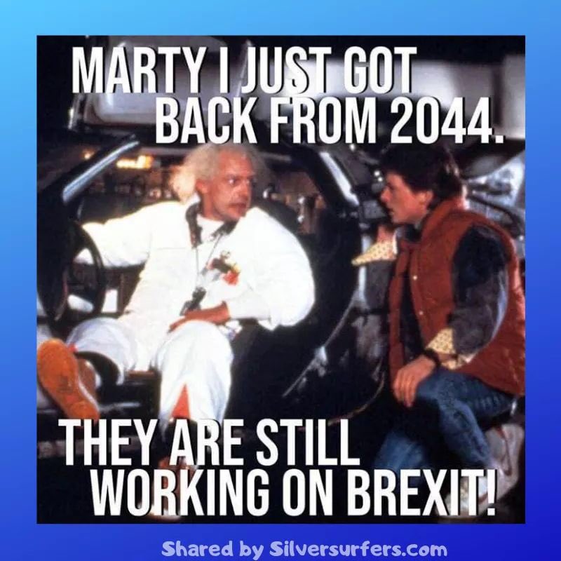 RTfollow12345's tweet image. #brexit #BackToTheFuture