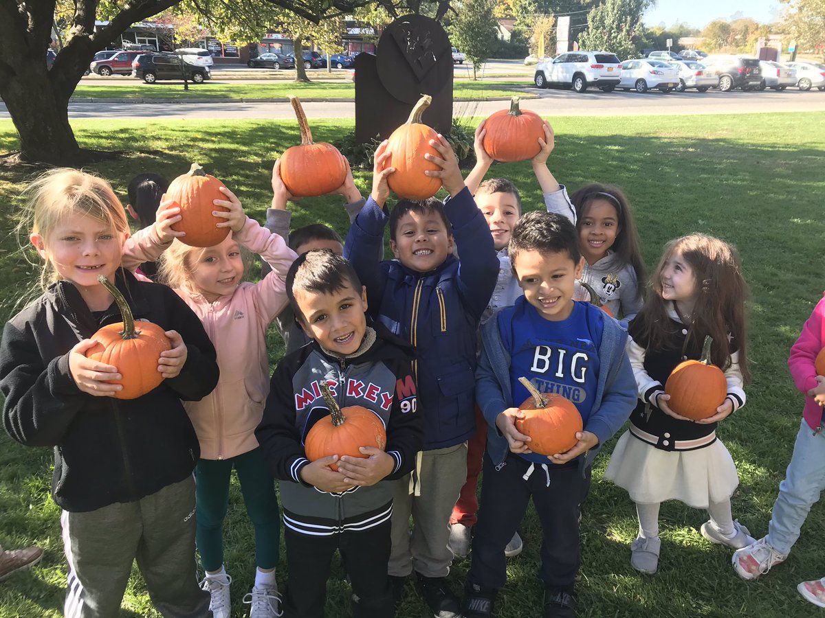 FifthAveDualK's tweet photo. Thank you to the Fifth Avenue PFA!! Our class had a wonderful time picking pumpkins ☺️🎃 https://t.co/BXJyJU3SZa