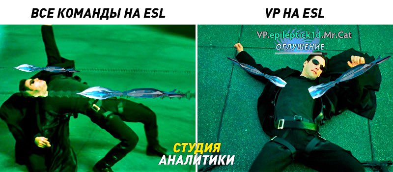 Митяй tweet media