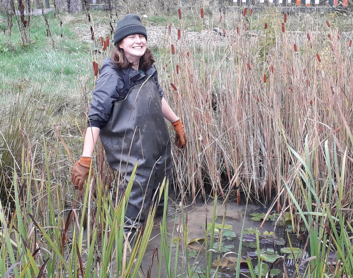 GGPWildlife's tweet photo. Happy to facilitate first pond maintenance experience for our #ledermantrainee today. @Tirzahswt rocked #wader chic whilst working with Youth Rangers at St Margarets Primary School #Crawley @SussexWildlife https://t.co/OERujIvIrA