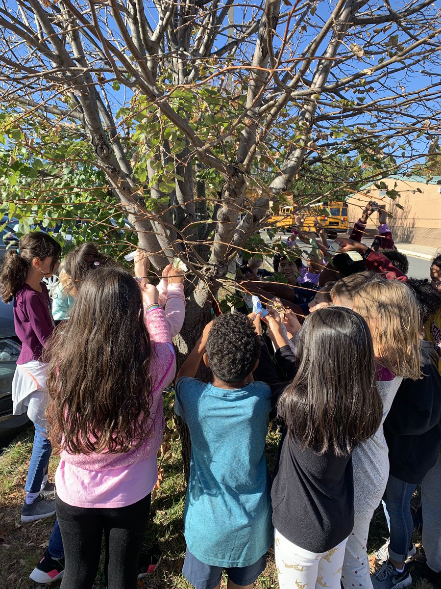 China craven tweet media