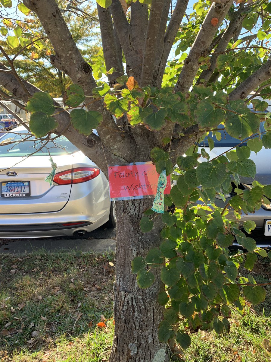 China craven tweet media