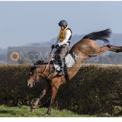 Maurice Linehan equestrian tweet media