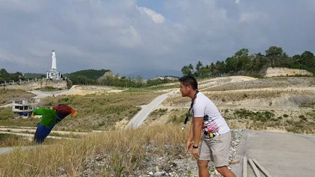 birdsofcebu's tweet photo. #ThrowbackThursday to when Alpha and Omega were still figuring out their outdoor flying skills. 
#FREEFLIGHTNotes
In this video you can see Alpha struggle to descend and land on my hand. Now, she can confidently do a vertical drop and gracefully perch on my hand. 
There is n… https://t.co/Vqbra2woVX