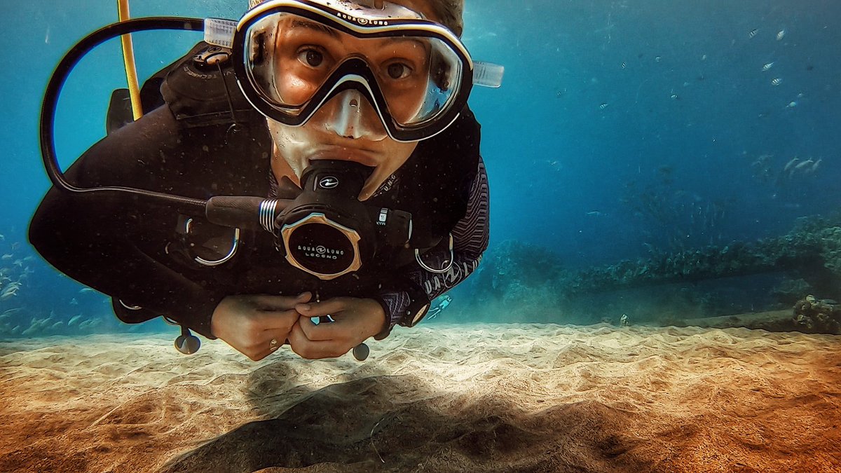 TabithaLipkin's tweet photo. Fun fact: underwater my eyes are still brown. 🥽🐙🦈
#DiverReady @AquaLungDivers https://t.co/EQnZB3MHZw