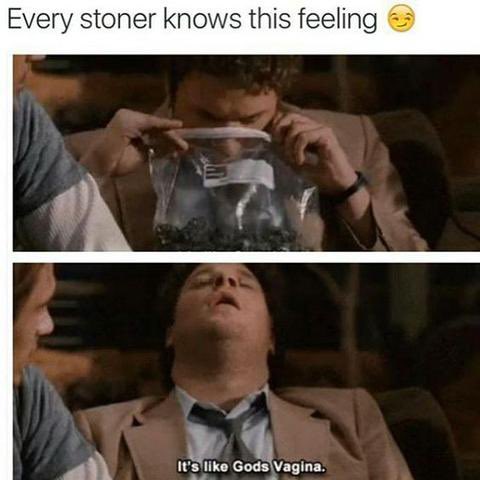 ChicksUnite's tweet photo. #truth #stoner #stonersunite #weed #legalizeweed #marijuana #kush #dank #reggie #loveitall #medicine https://t.co/Ev74j8Miud