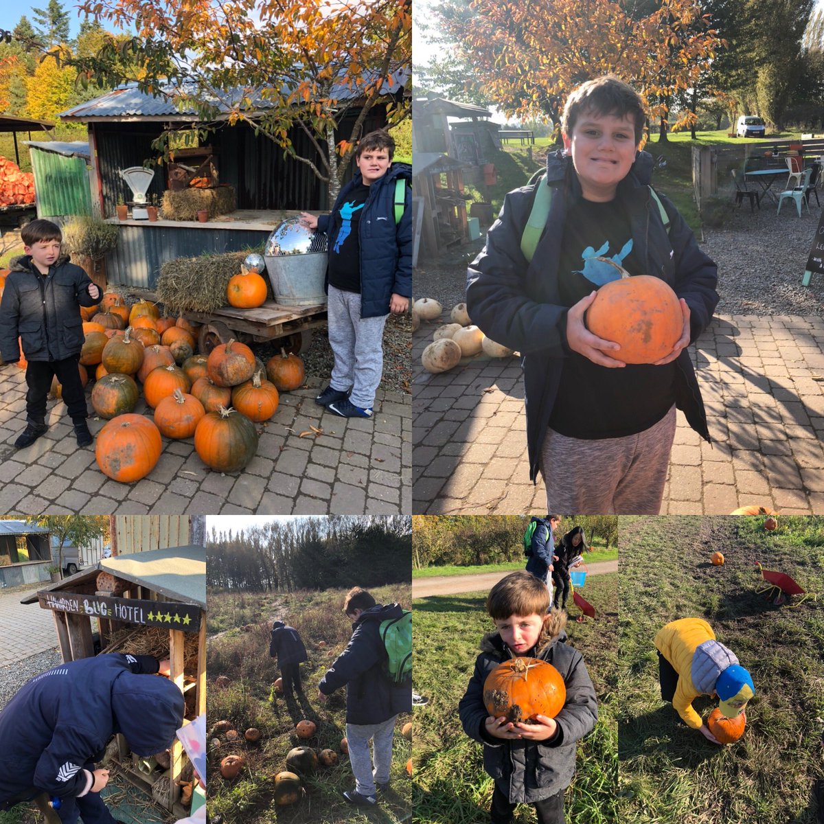 YsgolPenCoch's tweet photo. Robins Class enjoyed pumpkin picking, exploring a big hotel and then playing on the fort playground in Hawarden Farm Shop. #robinsclass #handsonlearning https://t.co/DFNcWXqjHi