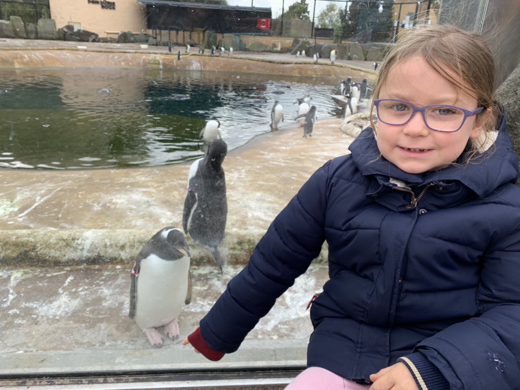 Olivia has been to Edinburgh zoo today to see the pandas 🐼 <a href="/vernonpark17/">Vernon Park Primary</a>
