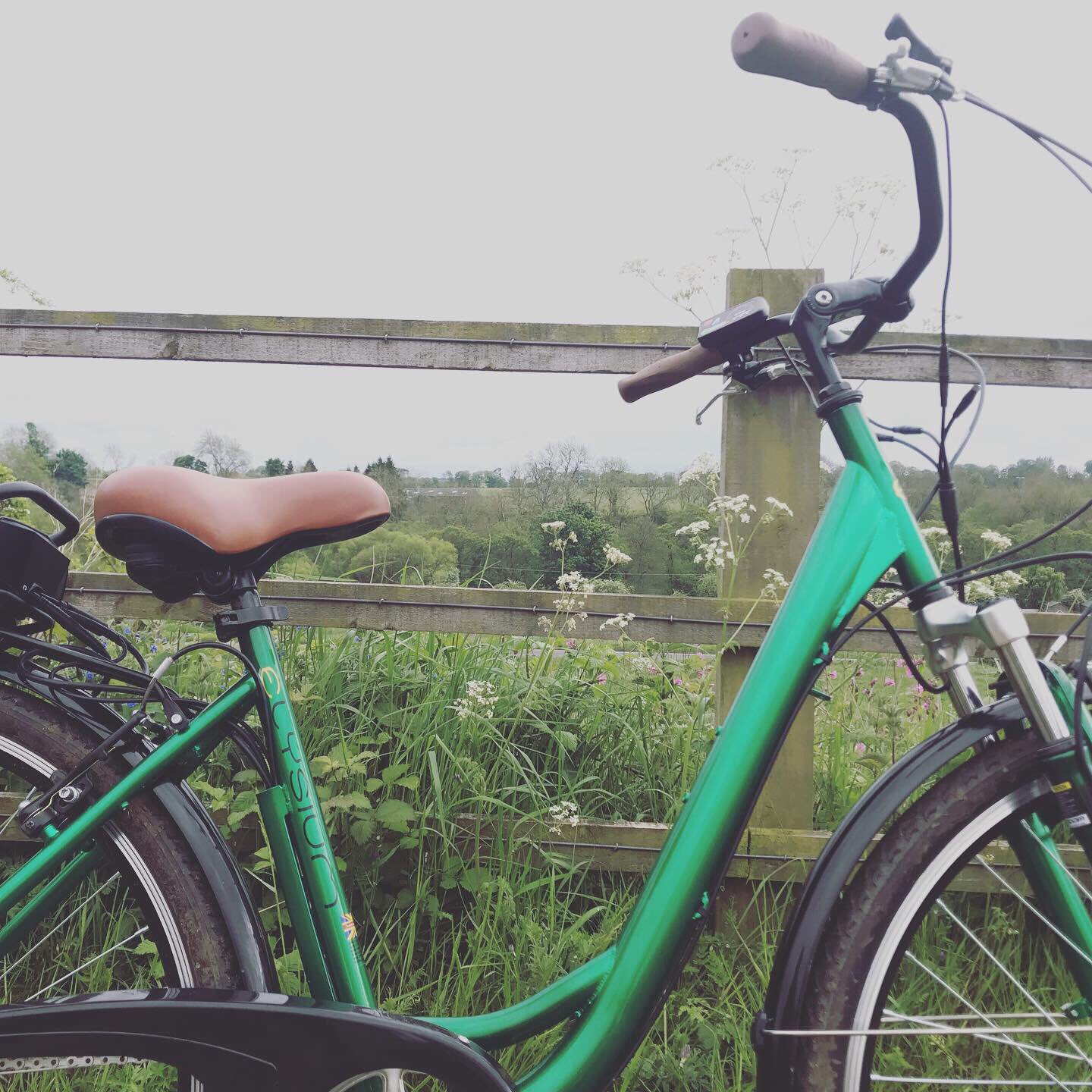 cyclotricity electric bike conversion kit