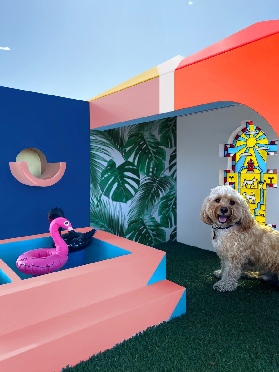 Accomplice tweet media