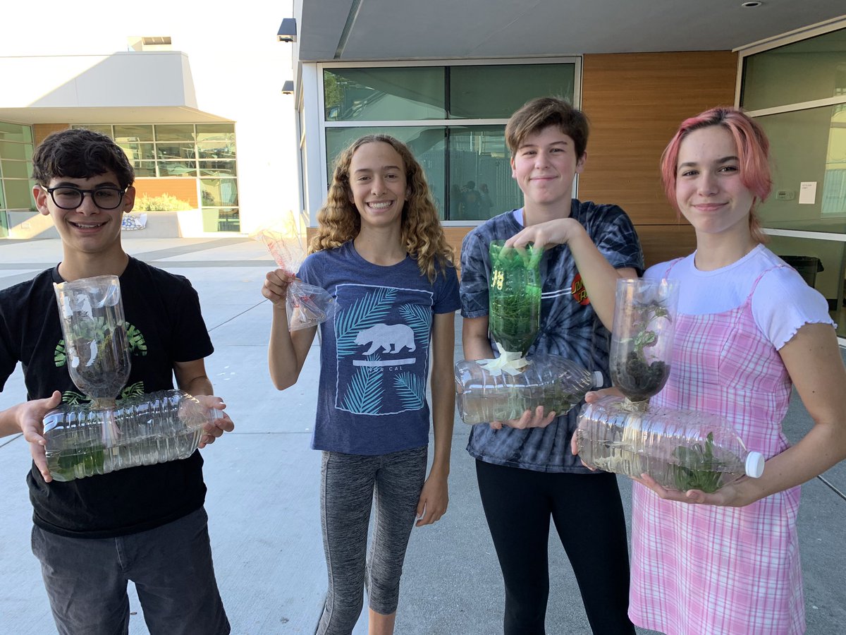 Stephanie Rothstein tweet media