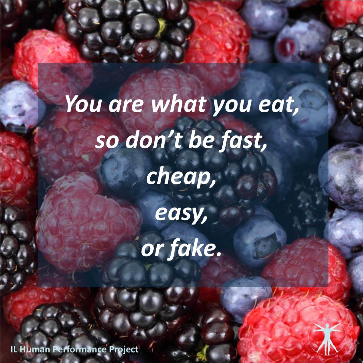 IL Human Performance Project tweet media