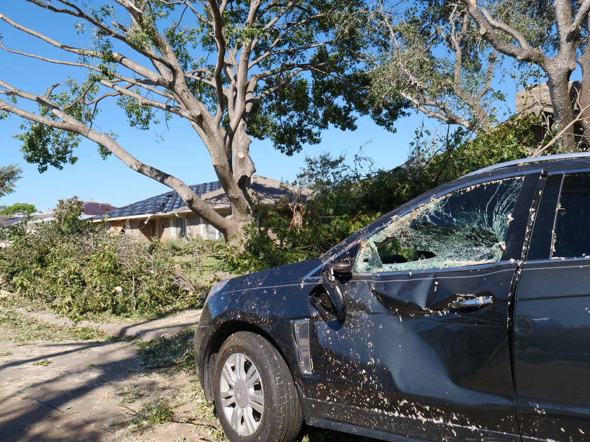 jesuitdallas's tweet photo. Jesuit Dallas seniors exercising care for their neighbors in Richardson today. This group of students Cleared trees and debris while checking in on residents who have suffered profound loss. Please join us in prayer for those impacted. #FaithInAction #MenForOthers https://t.co/72jQmECwRZ