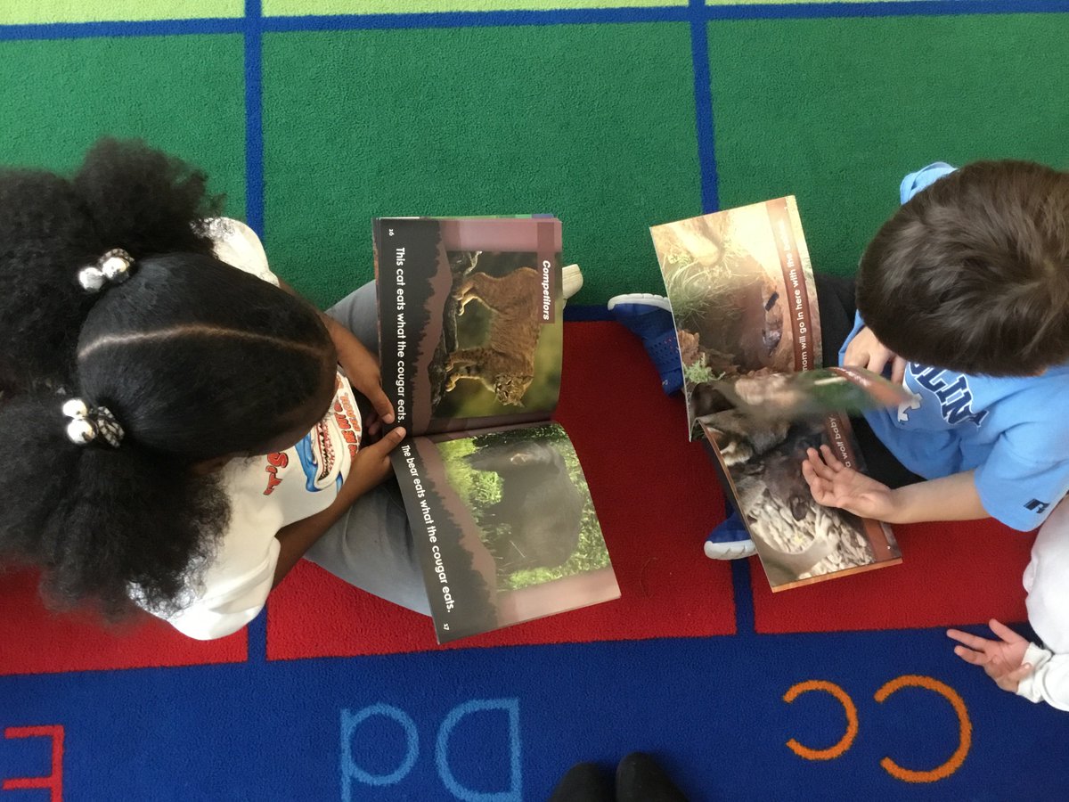 Researching baby mammals