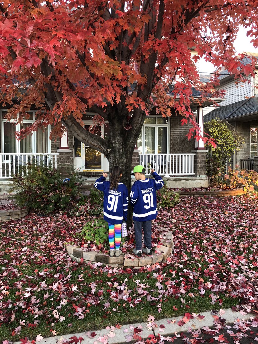OVEY23's tweet photo. A proud moment for this Dad! Jersey Day at school and this is what they chose! @MapleLeafs https://t.co/M8HCocP1Op