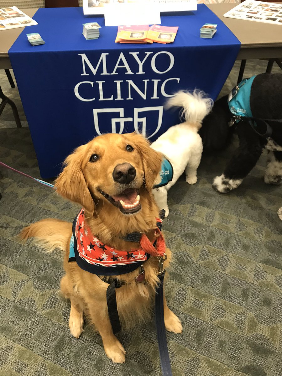 Pet Partners of North Florida tweet media