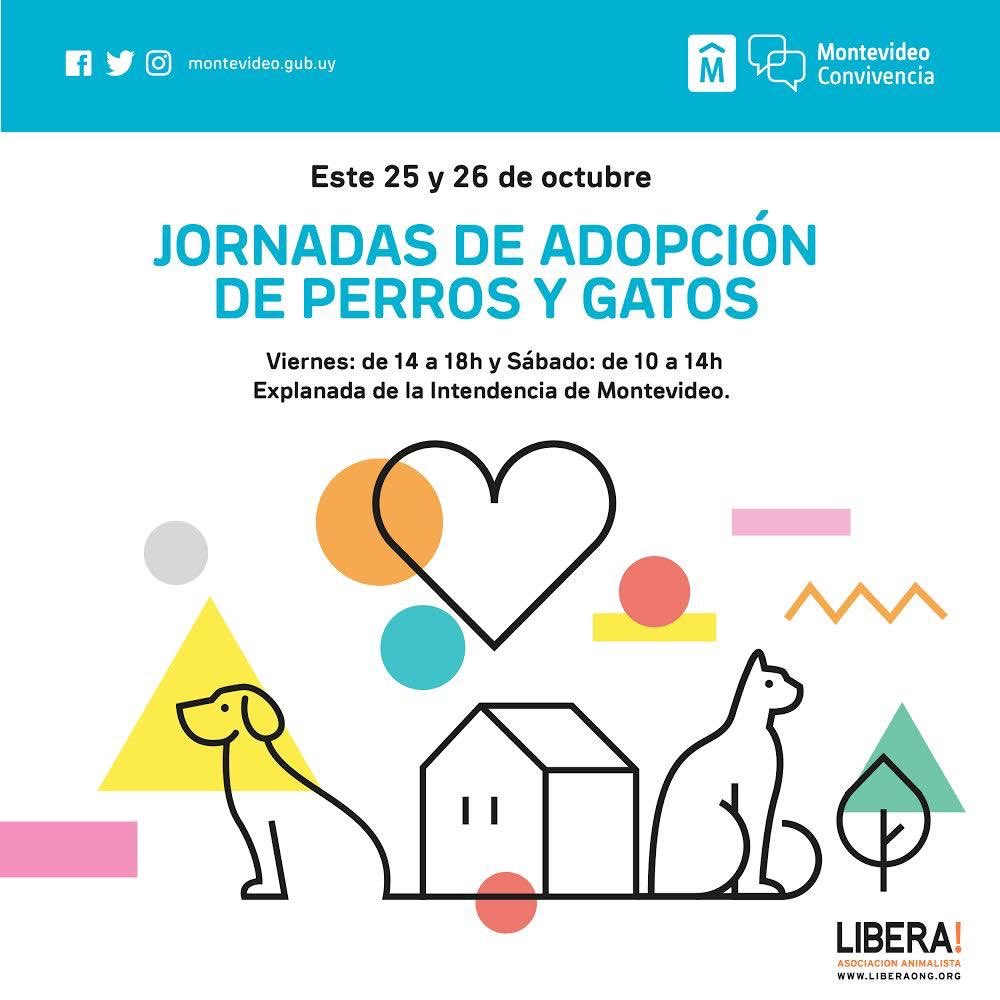 chdica's tweet photo. La @montevideoIM abre sus puertas y te espera para una jornada de adopción de perros y gatos. 🐶😸

📍Este viernes y sábado arrímate a la Explanada para un momento de convivencia y sobre todo tenencia responsable. 

Toda la info 📲 https://t.co/qDj78c0hjP https://t.co/NuTqb1qTYx
