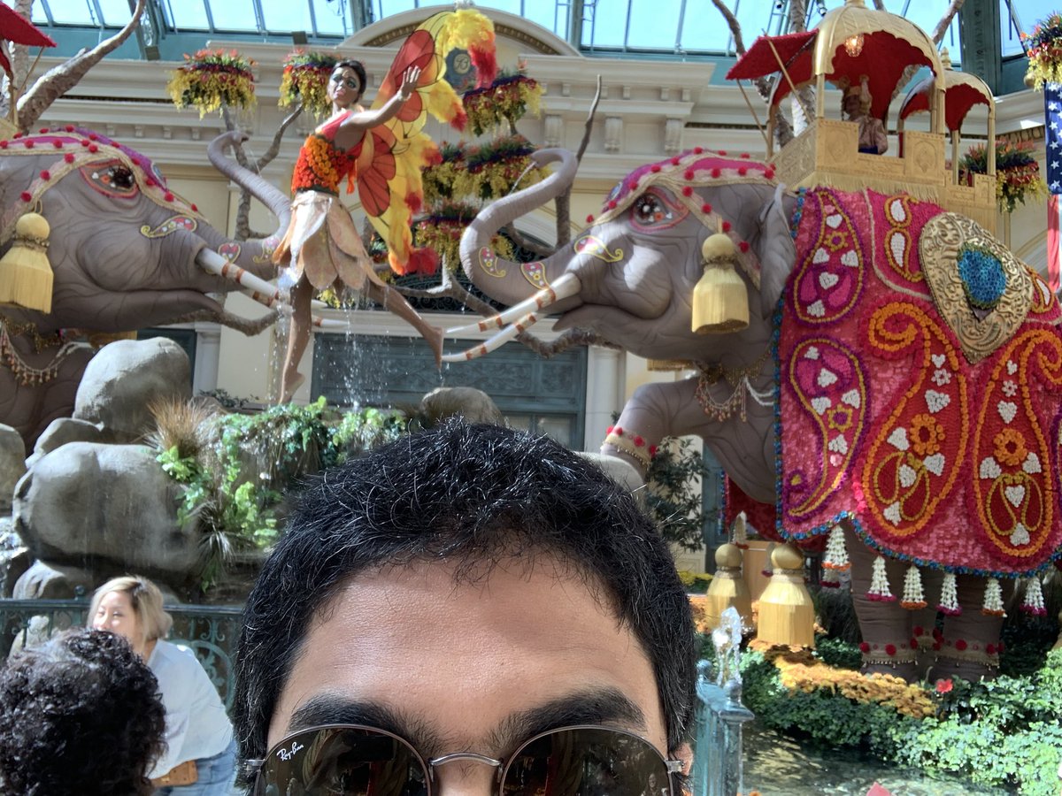 The India exhibit at the bellagio. Elephants and all. So weird.