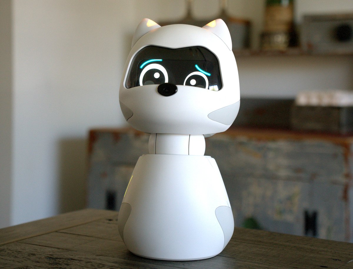 kiki robot cat