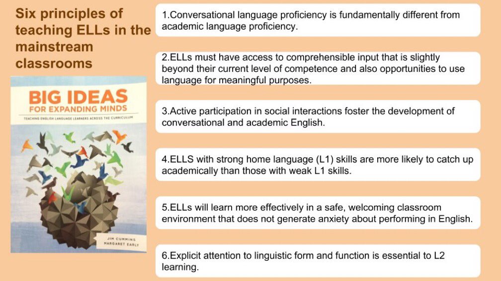 SherryTeacher's tweet photo. Monthly I give 👩‍🏫👨‍🏫 a “Language Lens” (tips &amp; strategies) that are beneficial to ELs (every student actually 😉). Today I saw one of my 👨‍🏫 has them posted at the back of his classroom! @TanELLclassroom @ValentinaESL #ELL #CoTeach #Collaborate #LiftOthersUp #NoMoreLowExpectations https://t.co/P9bFvYeJyx