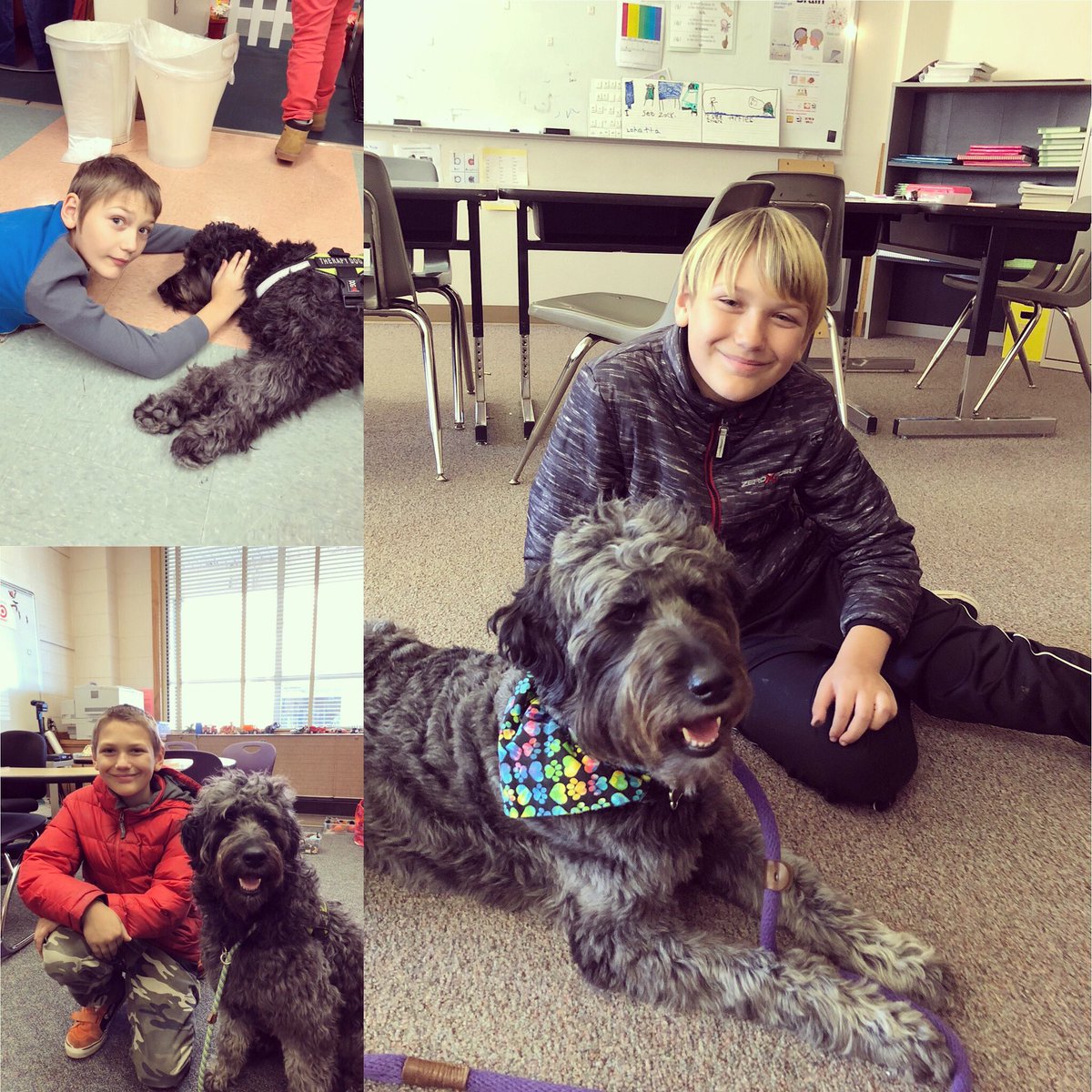 Hough ❤️'S Luna (@houghlovesluna) on Twitter photo I was able to go to <a href="/lincoln_rocks1/">Lincoln_Rocks1</a> to visit an old friend today! I haven’t seen him in almost a year. So happy to see him! Look how much he’s grown in 3 years! #connectionsmatter #previousstudent #therapydog #goodbuddies #whyiteach #teacherlife <a href="/VancouverSD/">Vancouver Public Schools USA</a> <a href="/HoughElementary/">Hough Elementary</a> I was able to go to <a href="/lincoln_rocks1/">Lincoln_Rocks1</a> to visit an old friend today! I haven’t seen him in almost a year. So happy to see him! Look how much he’s grown in 3 years! #connectionsmatter #previousstudent #therapydog #goodbuddies #whyiteach #teacherlife <a href="/VancouverSD/">Vancouver Public Schools USA</a> <a href="/HoughElementary/">Hough Elementary</a>