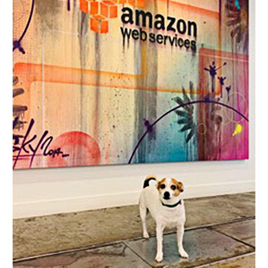 awscloud's tweet photo. Hi!  👋 My name's Diego. Woof. #DogsOfAWS https://t.co/Zqfo9GgpEA