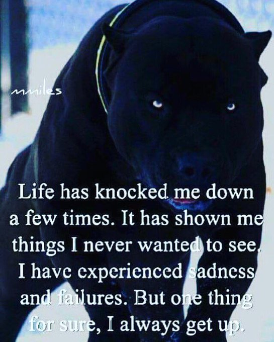 https://t.co/DBaEvvLebN<a href="/tag/real"class="tags"><span>#real</span></a><a href="/tag/respect"class="tags"><span>#respect</span></a><a href="/tag/blacklivesmatter"class="tags"><span>#blacklivesmatter</span></a><a href="/tag/realgodsnad"class="tags"><span>#realgodsnad</span></a>