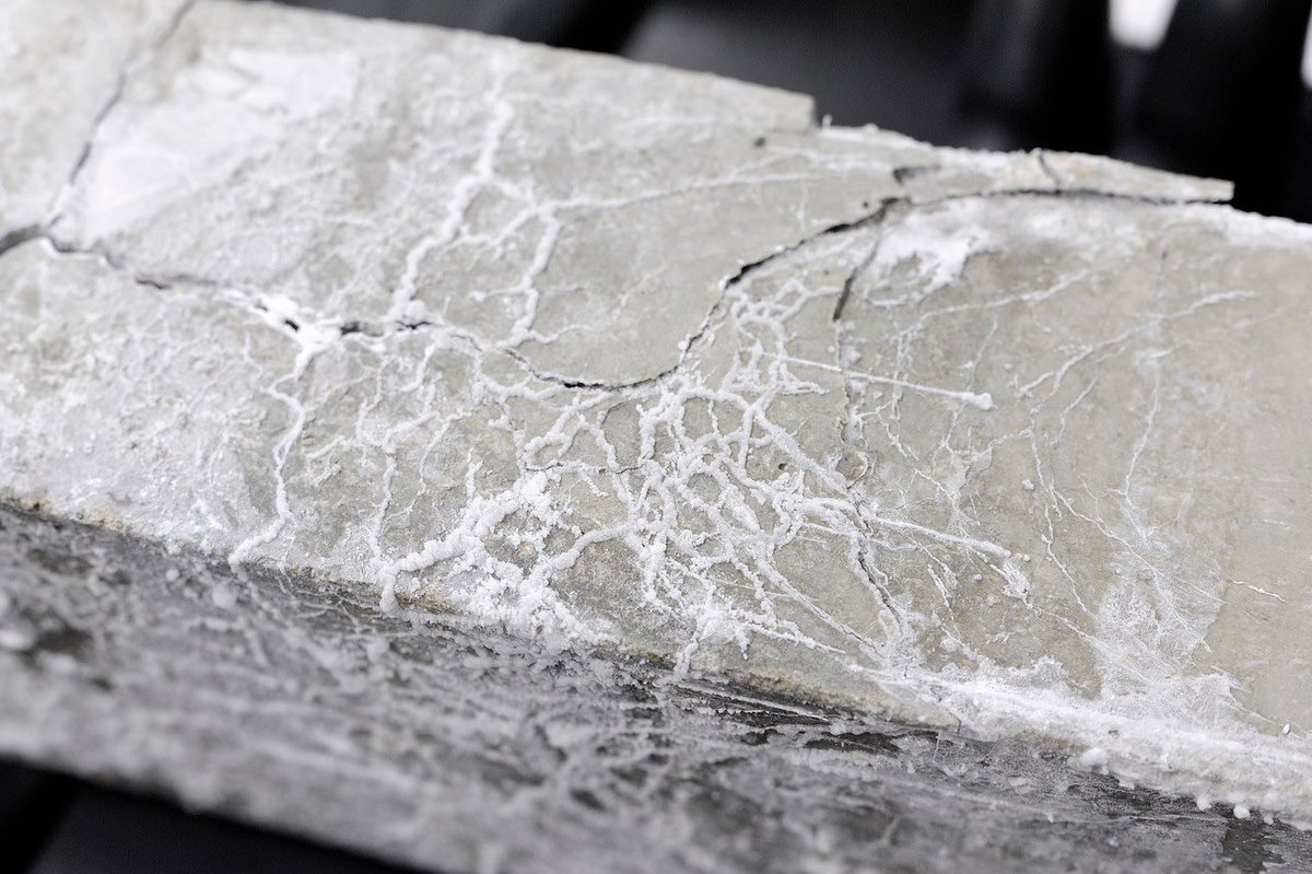 NCERCAMP tweet media