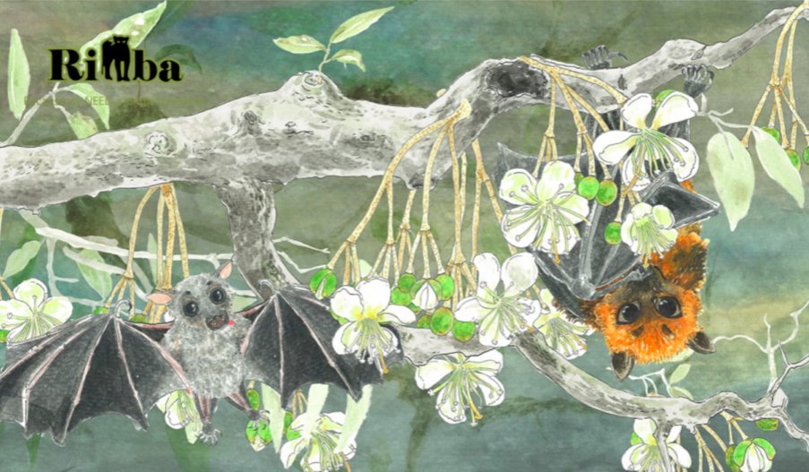 RimbaResearch's tweet photo. #ProjectPteropus presents the animated video: The Secret Life of Durian Trees!

The video shows how fruit bats are important for durian trees with illustration by Novia Shin.

So celebrate #BatWeek &amp; Halloween by showing our helpful bat friends some love!

https://t.co/OQTMYCCd8r https://t.co/xfJVXUsq8w