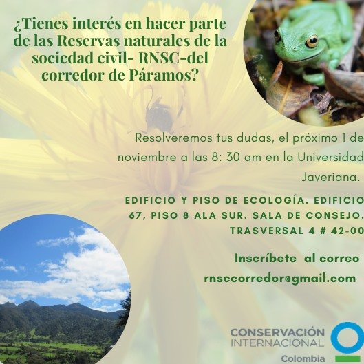 TropicoAlto's tweet photo. Interesado en formar parte de las #ReservasNaturalesDeLaSociedadCivil del #CorredorDePáramos #Chingaza #Sumapaz #PáramoDeGuerrero #CerrosOrientales? Sesión de trabajo 1-Nov-2019 8:30 am @UniJaveriana #Bogotá @CIColombia rnsccorredor@gmail.com #WaterFactory https://t.co/k4SjbOMk3l