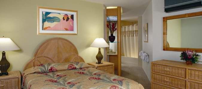 SavedandUnboxed's tweet photo. Labor Day Weekend 2020 from BNA to Maui!

Package for 4 people includes flight, hotel, transfer, and travel protection

Deposit $190.99 pp

$1020.43 pp

2 Bdr Villa 

private lanai

two full bath

cable TV and internet access

fully equipped kitchen with dishwasher https://t.co/Ecjuzwk3Mf