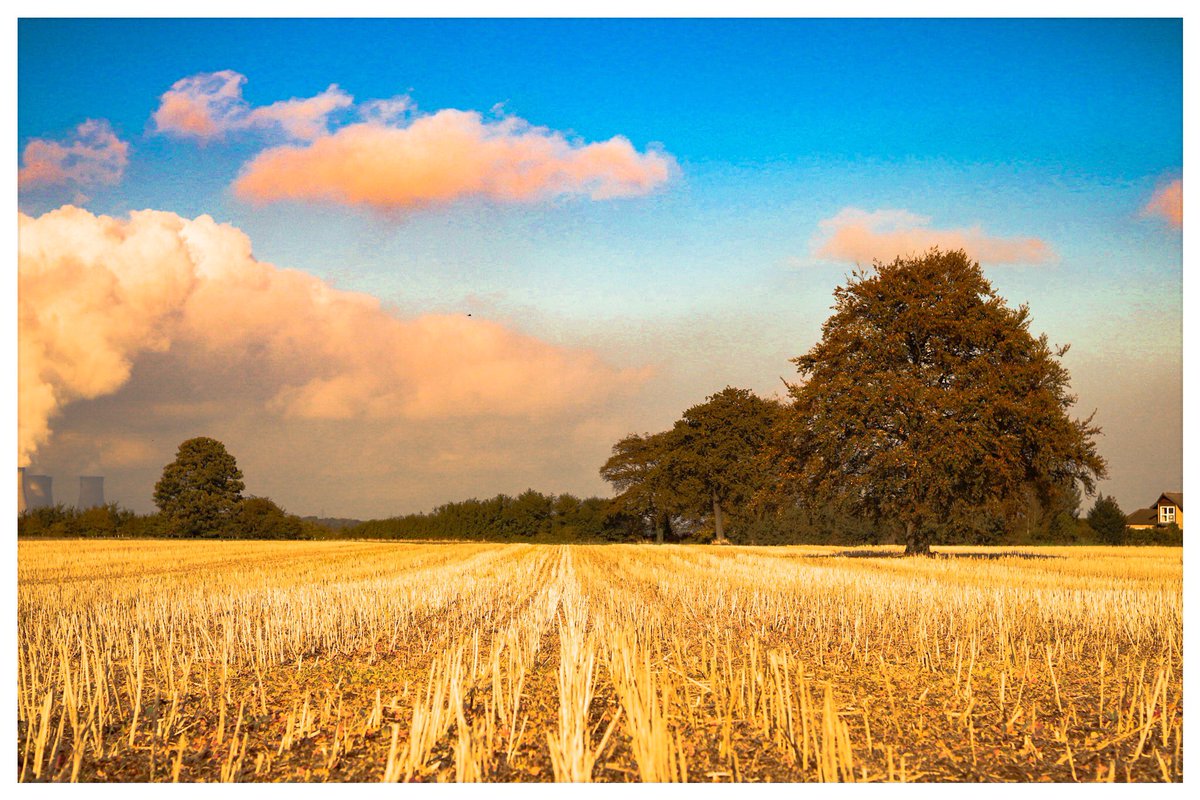 Harvest time #fields #nature #landscape #photography #naturephotography #summer #clouds #sky #countryside #landscapephotography #bluesky #trees #autumncolour #openuptoautumn #october #fortheloveofbranches #loves_trees_rural #fifty_shades_of_nature #after_the_harvest #harvesttime