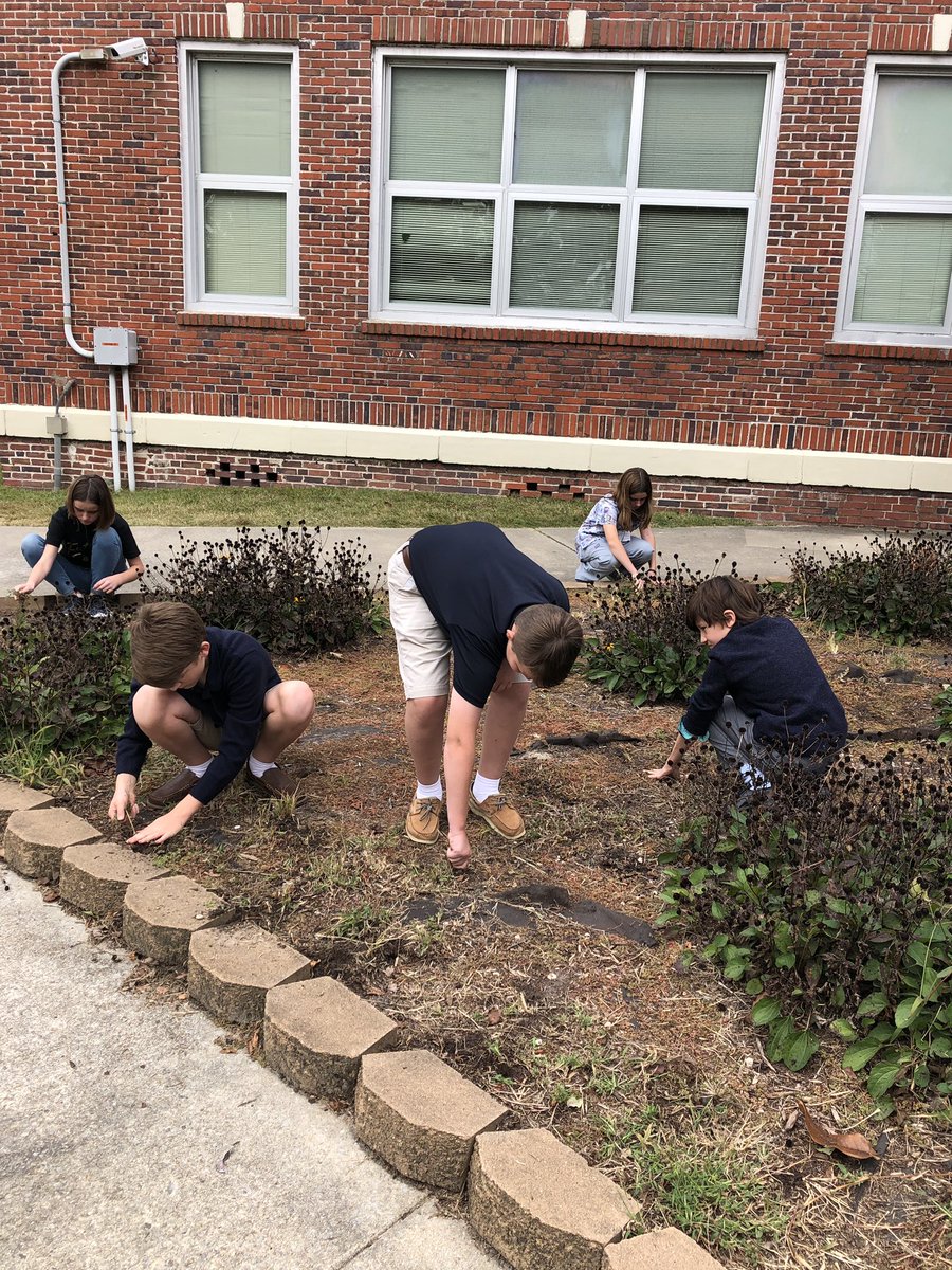 New Bridge 6th Grade tweet media