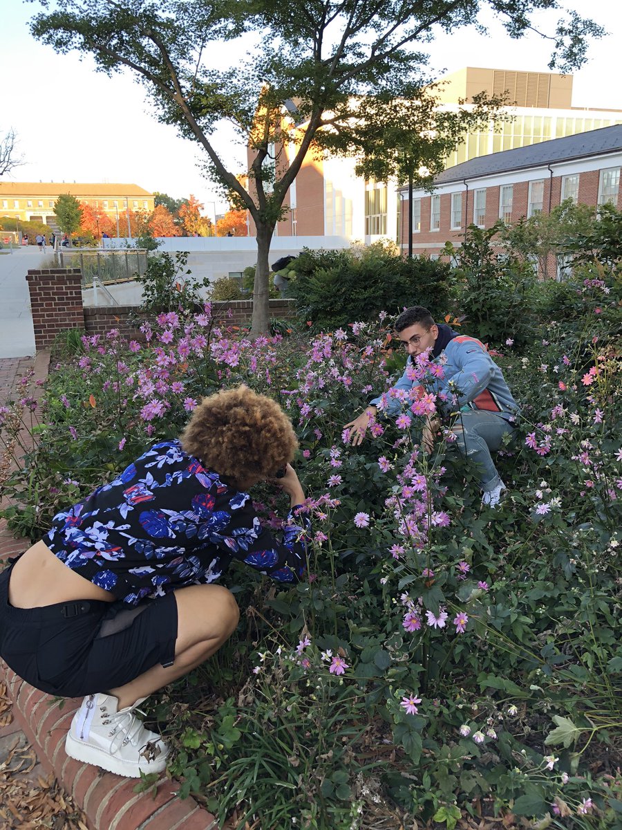 UMD MasTERPiece tweet media