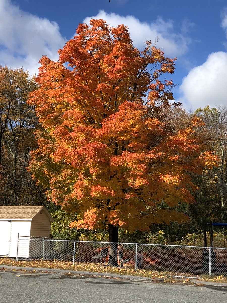 Unity Day here at Warren 🧡
Even our tree participated today!