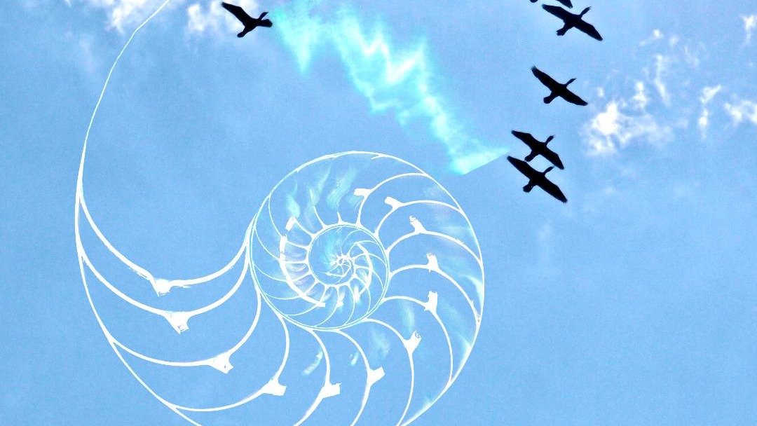 The 10th concert season <a href="/heliconianclub/">The Heliconian Club</a> kicks off this Friday! Don't miss this hidden musical gem in the middle of Yorkville, featuring musicians, dancers and visual artists. More details here: bemusednetwork.com/events/detail/…