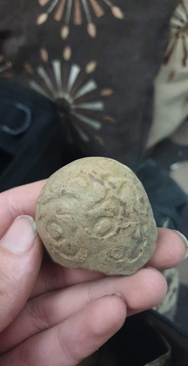 Aaron youngs tweet media