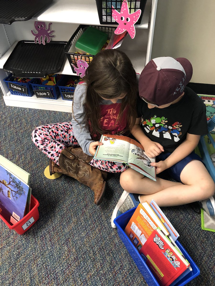 hart_reading's tweet photo. A snapshot of a few of our reading stations today 📚 @PowellCISD https://t.co/Ttzb6CwR88
