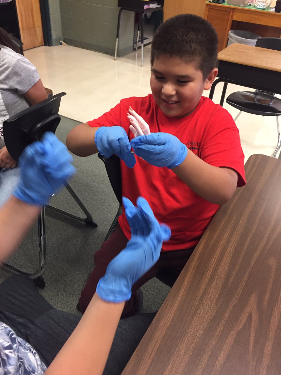 catdorc's tweet photo. Investigating internal structures that help us move @WAWschool https://t.co/vgbb81xUmP
